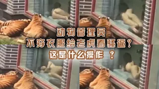 动物管理员不穿衣服给老虎看骚逼？这是什么操作 ？