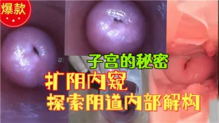 子宫的秘密扩阴内窥探索阴道内部结构