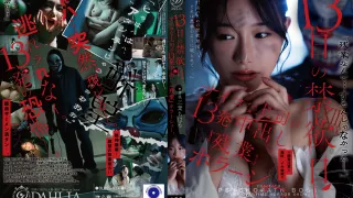 DLDSS-524 禁欲十三天：加班期间被变态老板在体内射精十三次的恐怖表演。千春三叶-无码