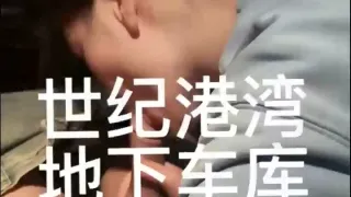 地下车库偷情车震，对白清晰撩情。
