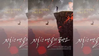 韩国-残酷角度的罗曼史